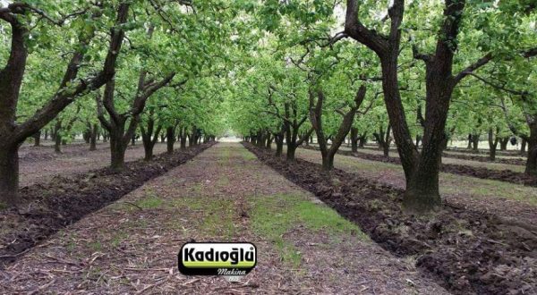 Međuredna tanjirača sa pipalicom / ticalom Kadioglu KDM110