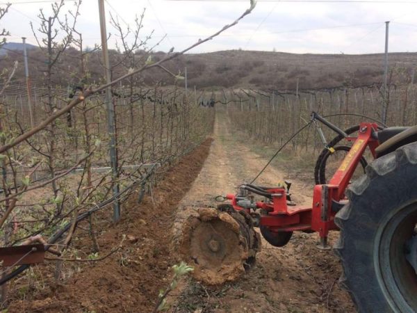 Međuredna tanjirača sa pipalicom / ticalom Kadioglu KDM110