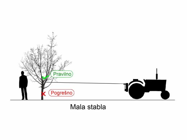 Tresac Kadioglu Vibrorope HM600 za masline, orahe, ljesnjake i ostalo voce prikaz rada