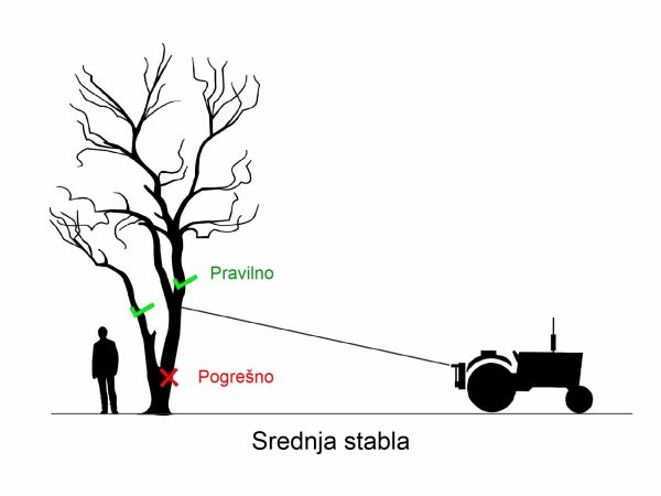 Tresac Kadioglu Vibrorope HM600 za masline, orahe, ljesnjake i ostalo voce prikaz rada