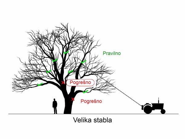 Tresac Kadioglu Vibrorope HM600 za masline, orahe, ljesnjake i ostalo voce prikaz rada