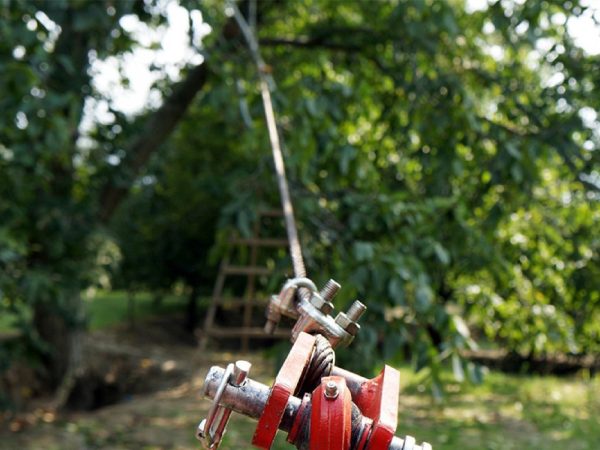 Tresac Kadioglu Vibrorope HM600 za masline, orahe, ljesnjake i ostalo voce