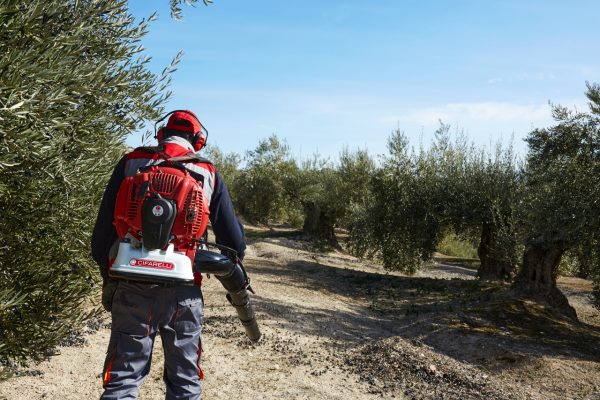 Cifarelli BL2200 leđni motorni duvač u radu profi