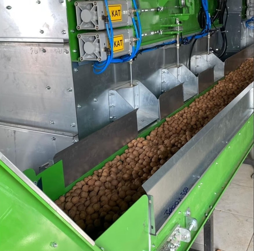 Sušara za orašaste plodove Kadioglu MX25P (pelet + struja) Sušara za orašaste plodove MX25P (pelet + struja)